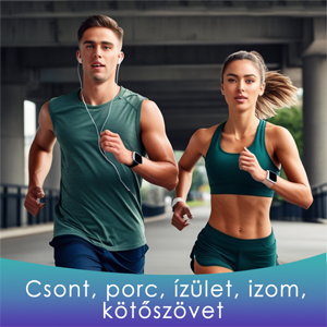 Csont, prc, ízület, izom, kötőszövet