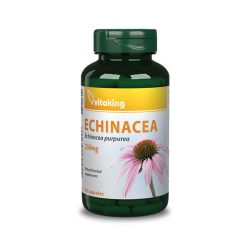 Vitaking Echinacea (Bíbor kasvirág) kivonat 250 mg 90 db