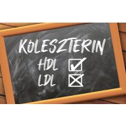 Koleszterin