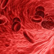 Szív és érrendszer, vérnyomás, keringés, szívizom